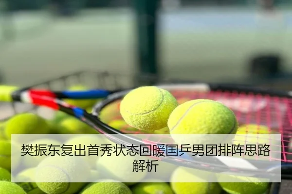 樊振东复出首秀状态回暖国乒男团排阵思路解析